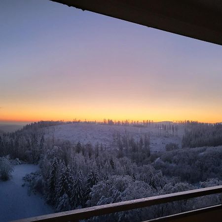 Appartement Zur Bergoase Mi Schwimmbad Hohegeiß Eksteriør billede